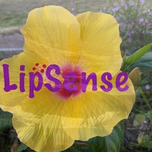 LipSense